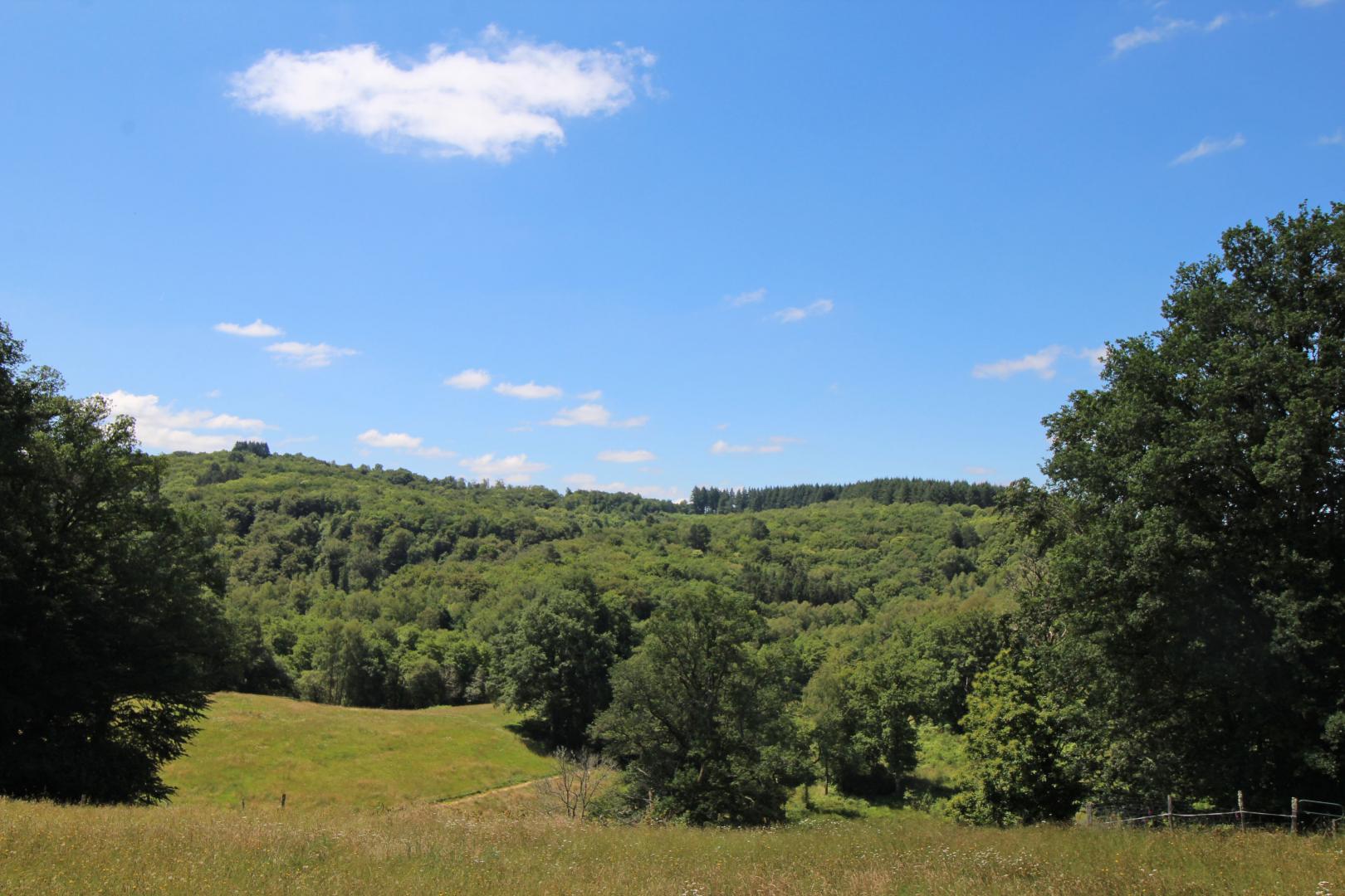 La Couze, Razès - photo 102
