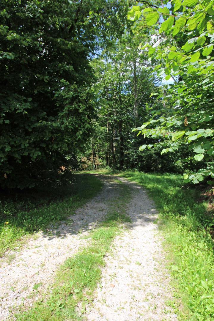 La Ressourcerie, Saint-Pardoux-le-Lac - photo 25