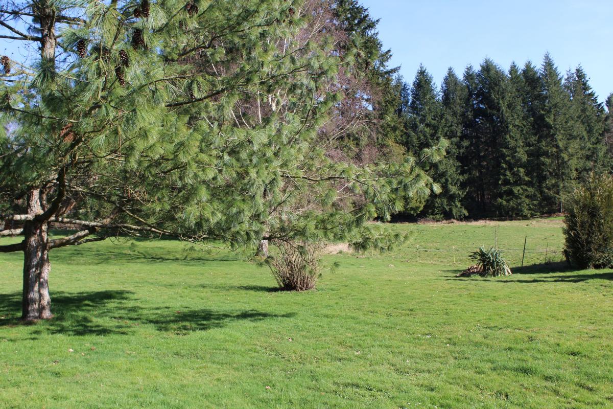 Gîte de groupe Vauguenige, Saint-Pardoux-le-Lac - photo 2