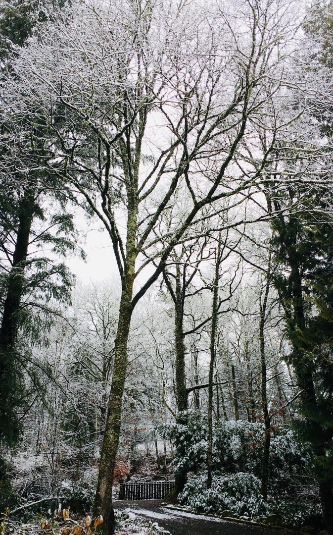 Le Clos des Chênes, Thouron - photo 30