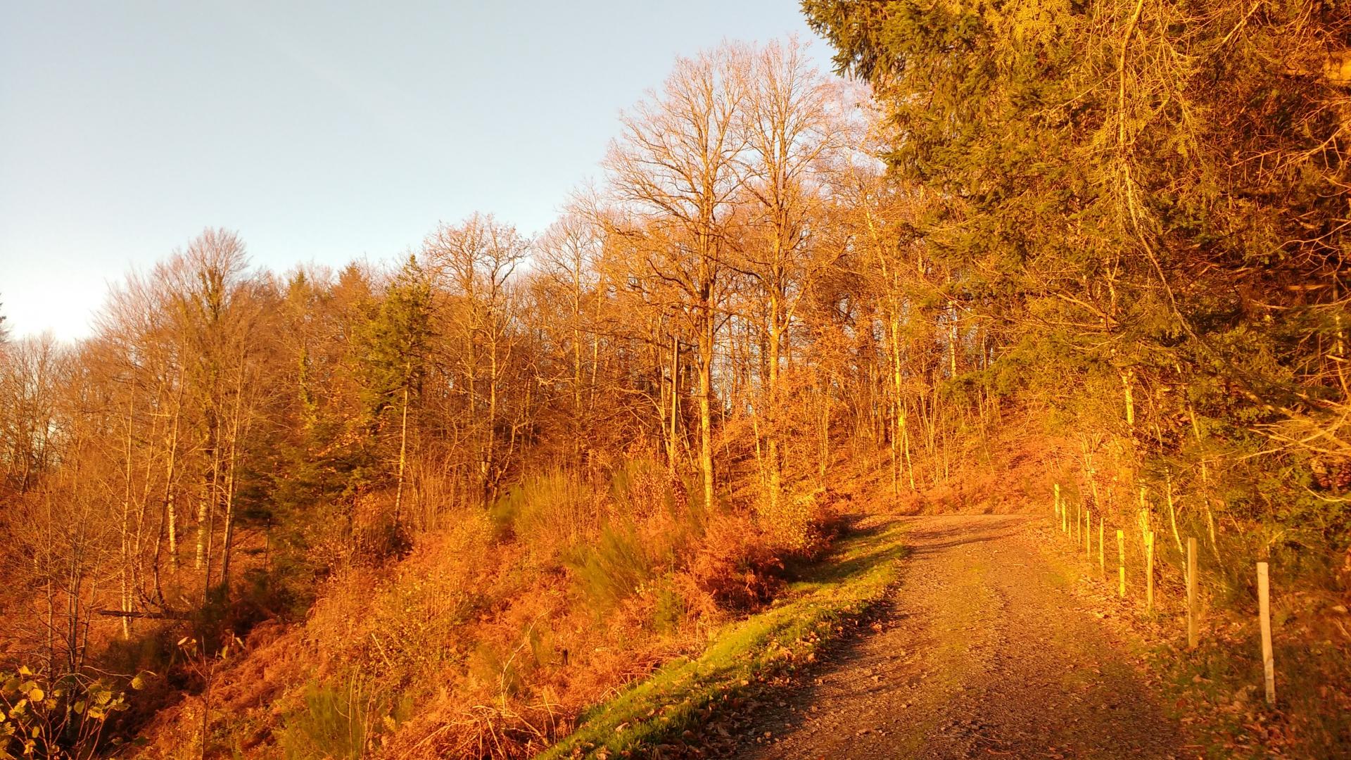 Le Clos des Chênes, Thouron - photo 25