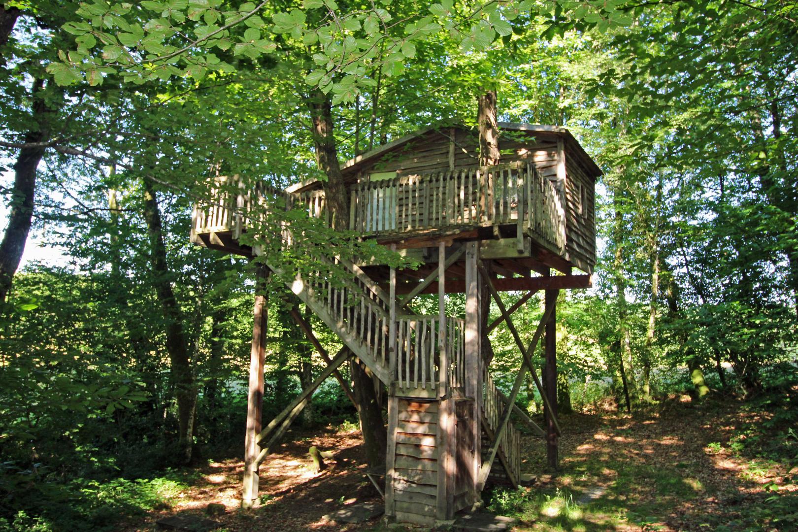 La Grande Forêt, Saint-Jouvent - photo 69