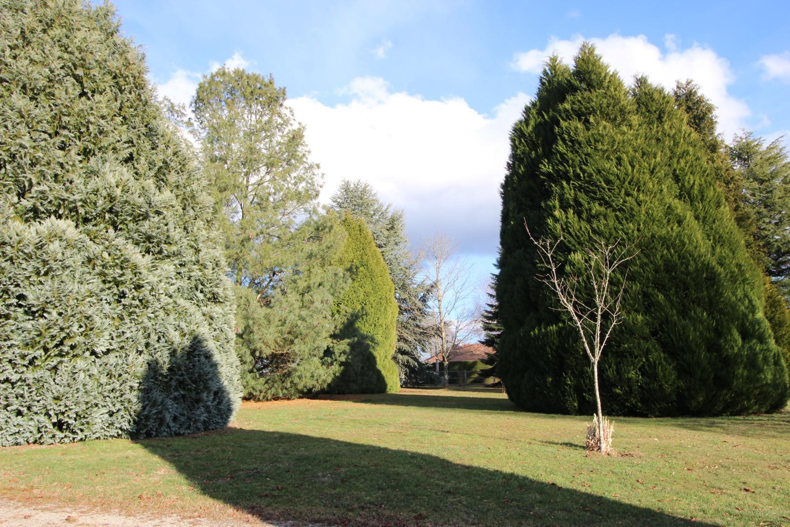 Le Mas du Puy, Ambazac - photo 75