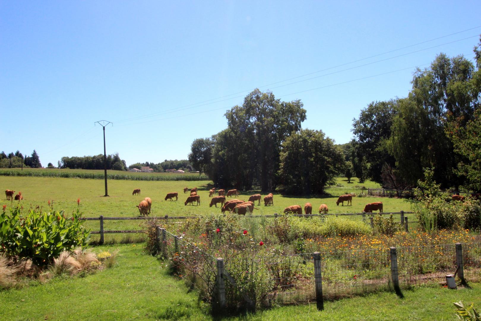 Le Mas du Puy, Ambazac - photo 72