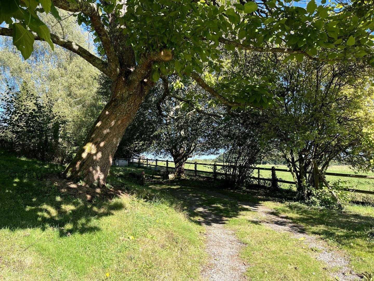 Le Mas du Puy, Ambazac - photo 31