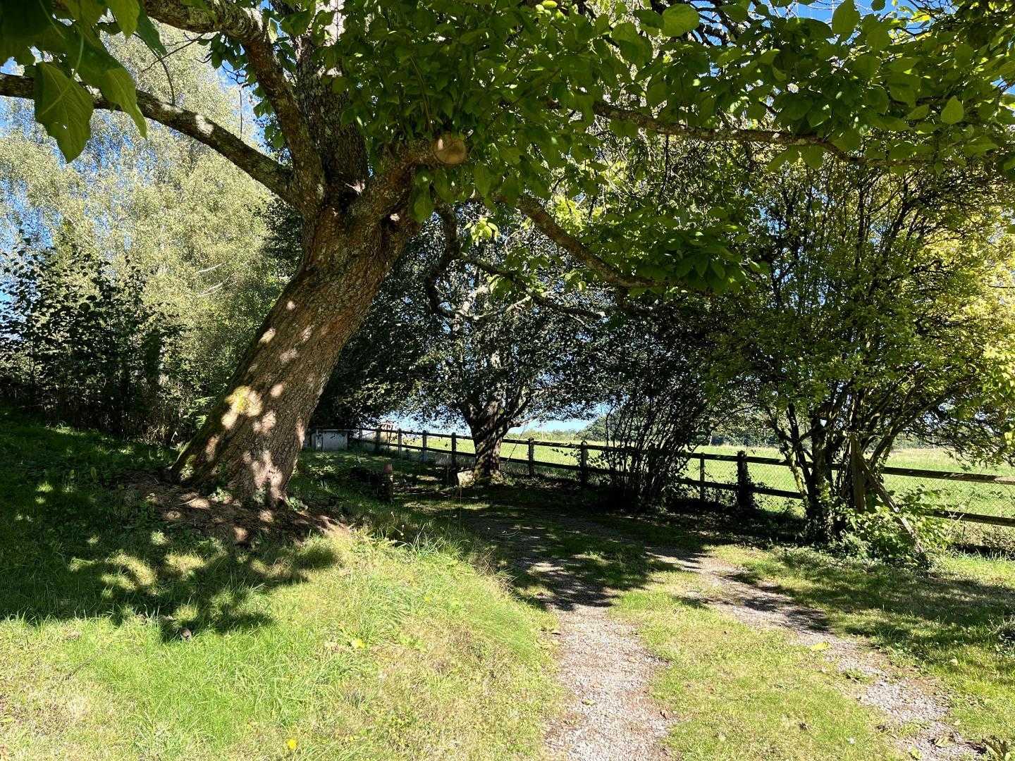 Le Mas du Puy - La tour, Ambazac - photo 22