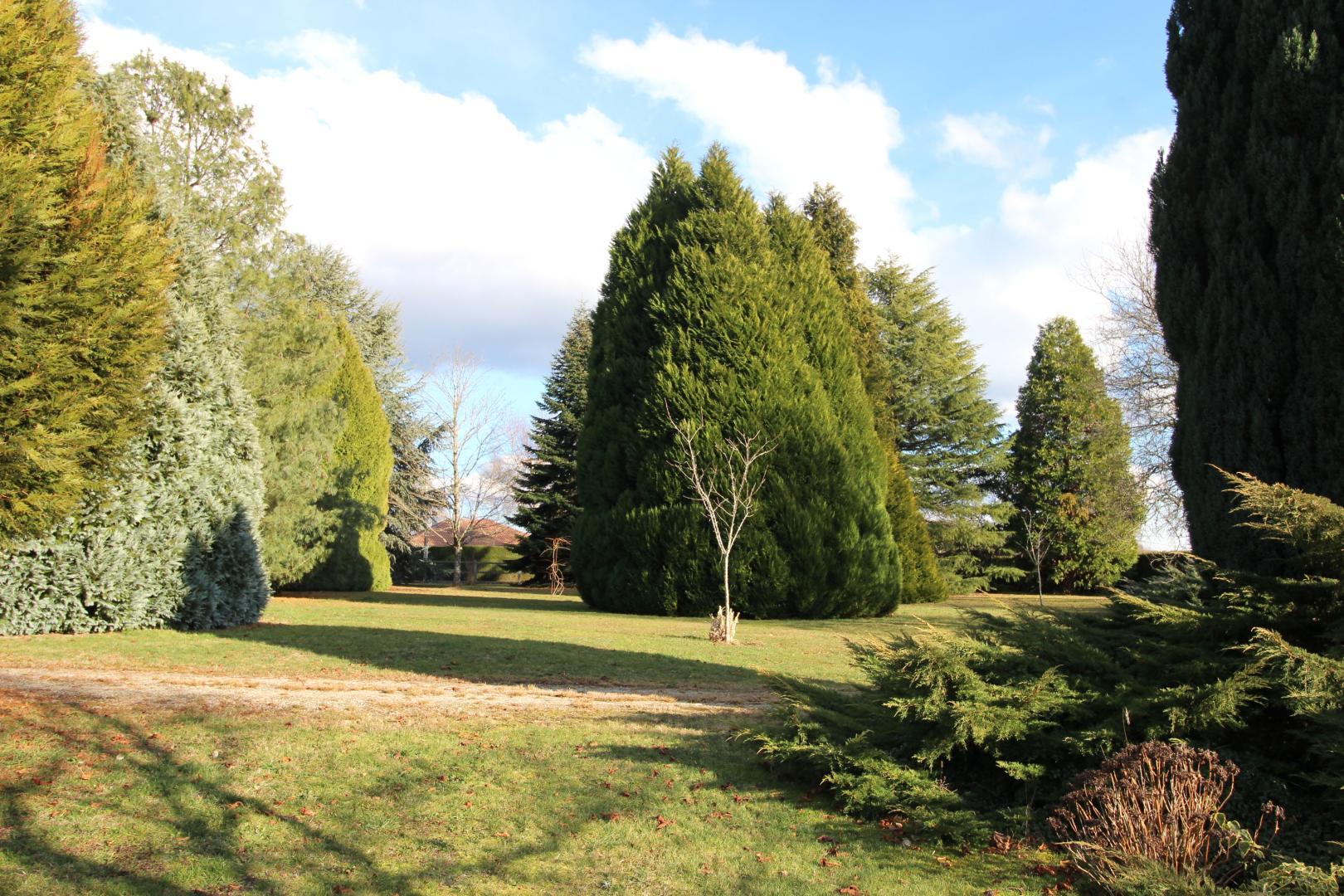 Le Mas du Puy - La tour, Ambazac - photo 28