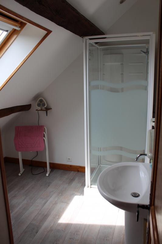 Le Galachoux, Bersac-sur-Rivalier - photo 48