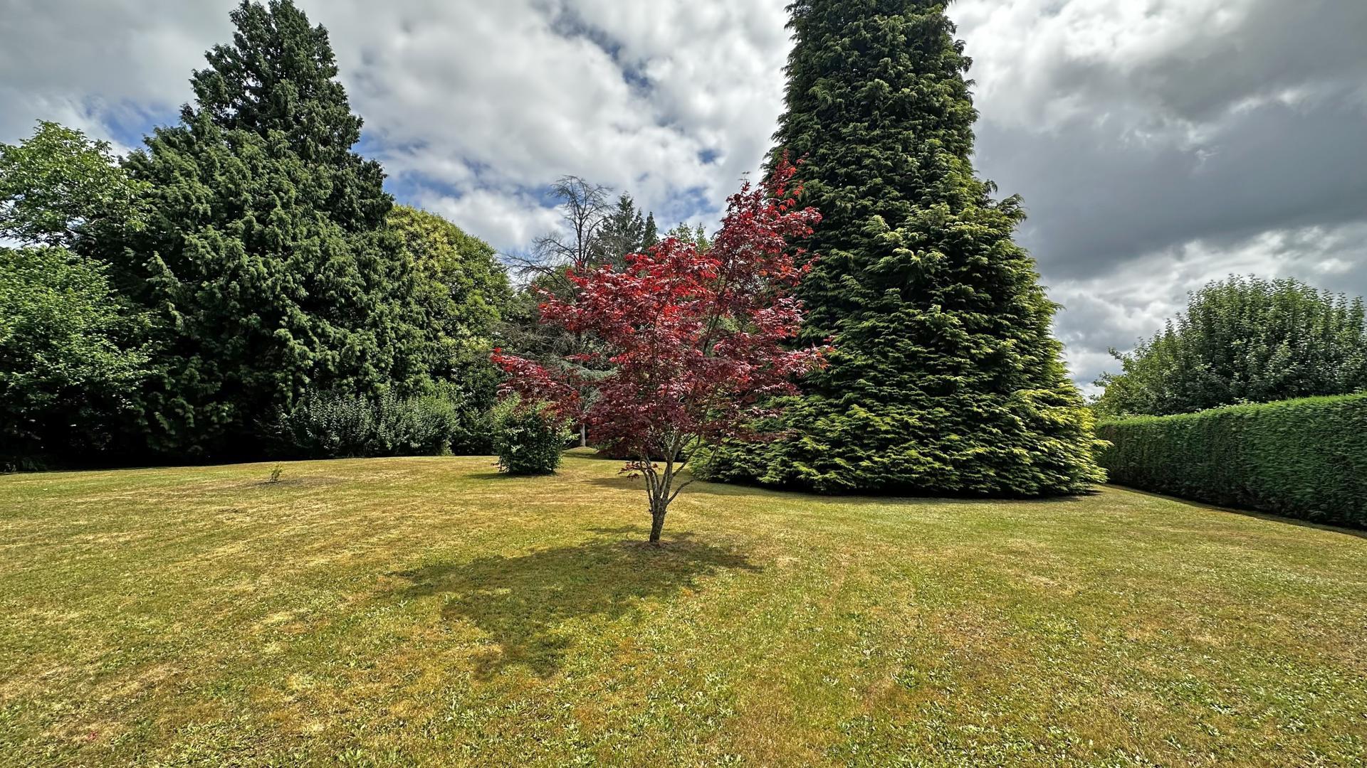 Les points Cardinaud, Saint-Laurent-les-Églises - photo 12