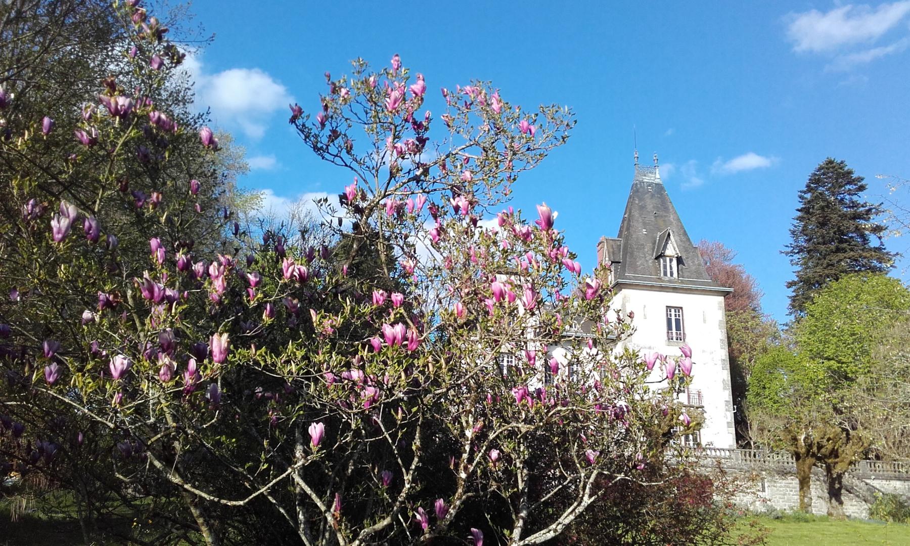Le Château de Saint Roch