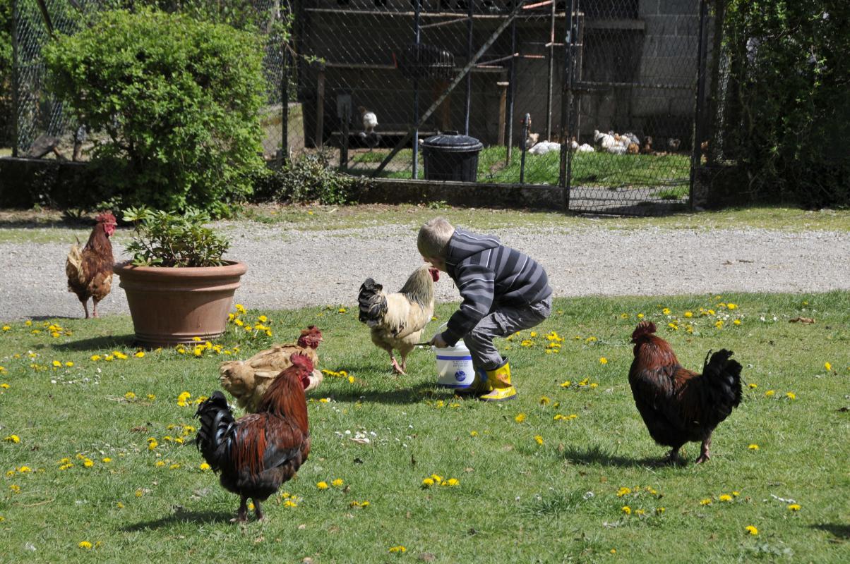 La Ferme de La Besse, Les Billanges - photo 59