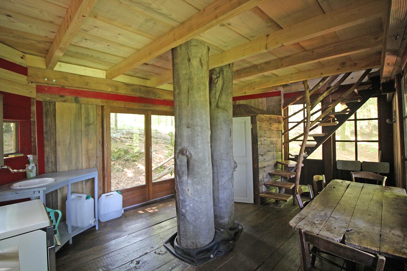 La cabane du Vieux Huraud, Saint-Sylvestre - photo 206