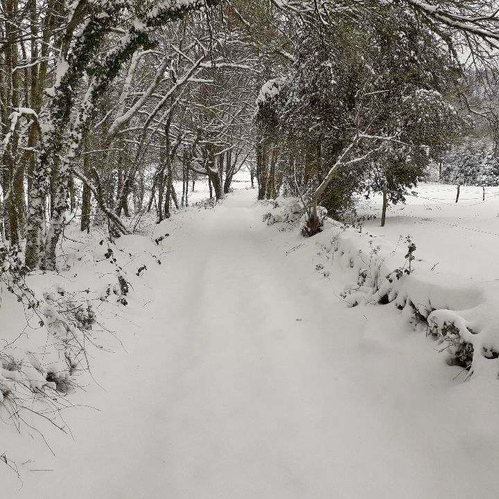 La cabane du Vieux Huraud, Saint-Sylvestre - photo 45