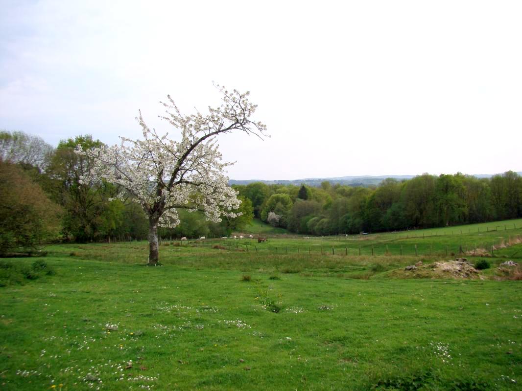 Négrignas, Augne - photo 52