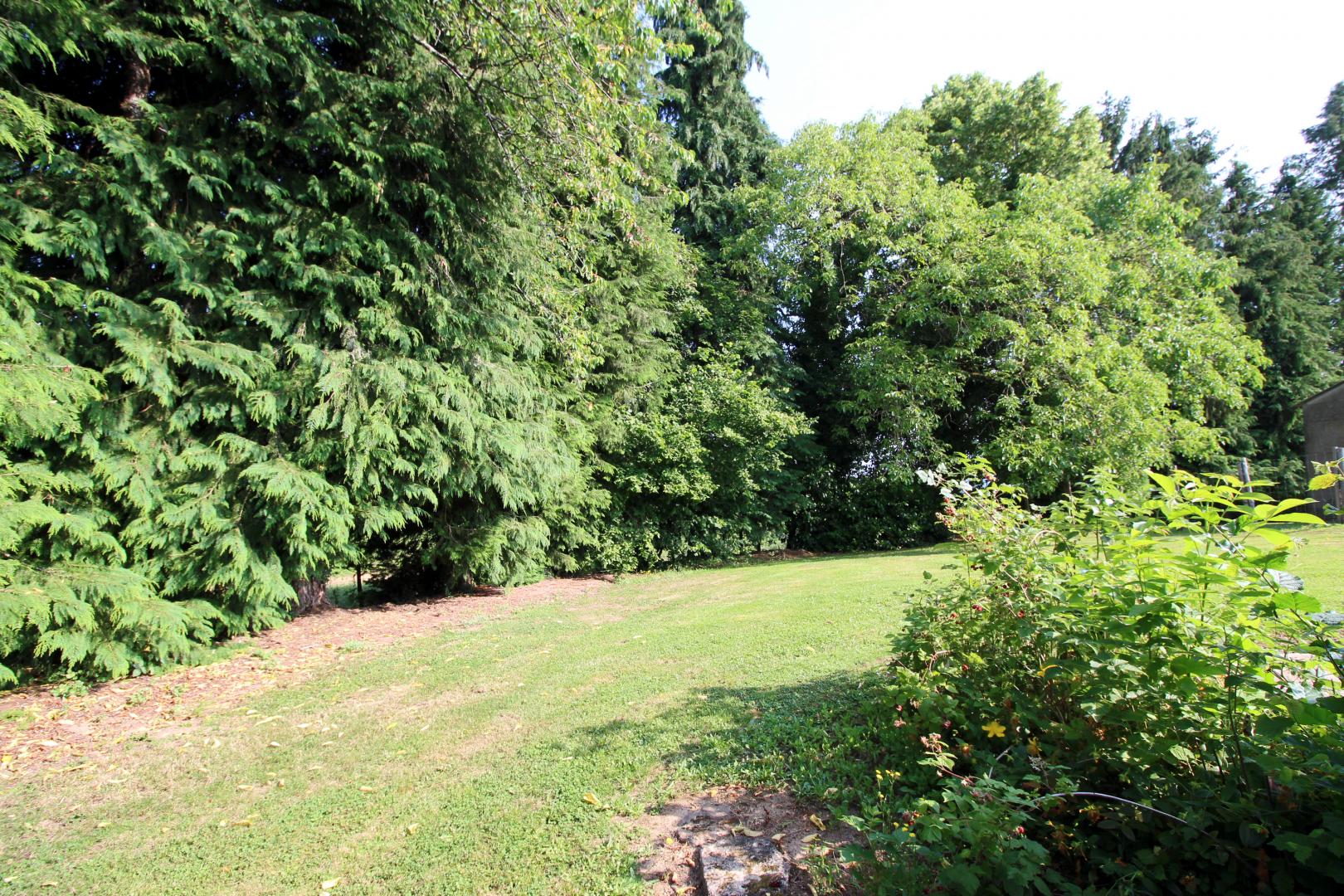 La Petite Ecosse, Châteauneuf-la-Forêt - photo 69