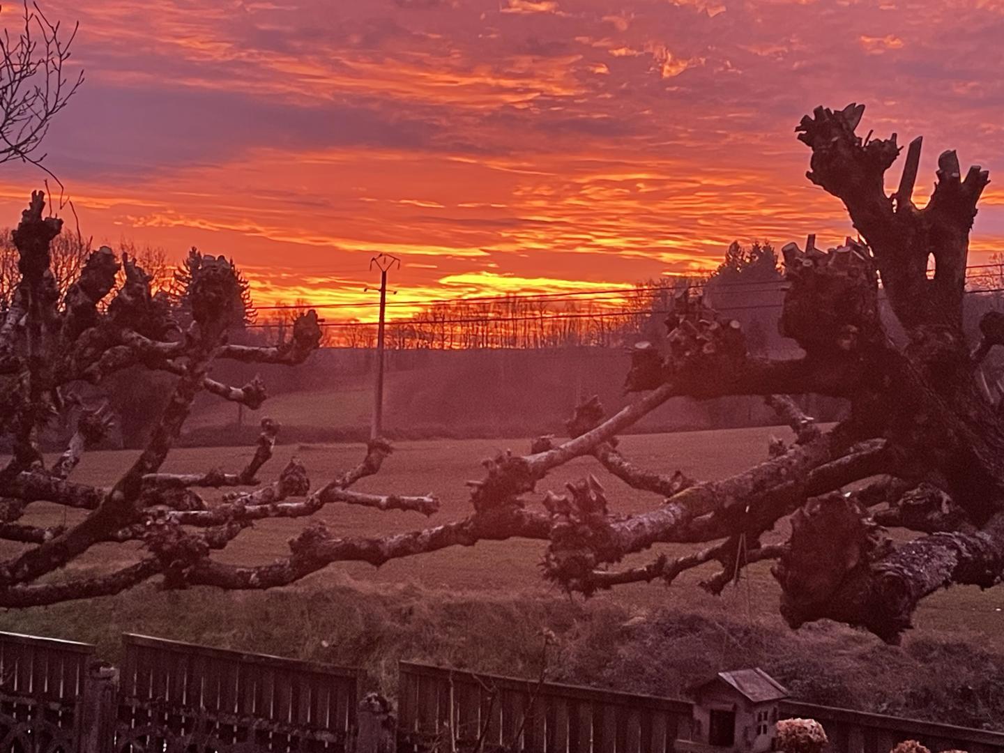 La Petite Ecosse, Châteauneuf-la-Forêt - photo 81