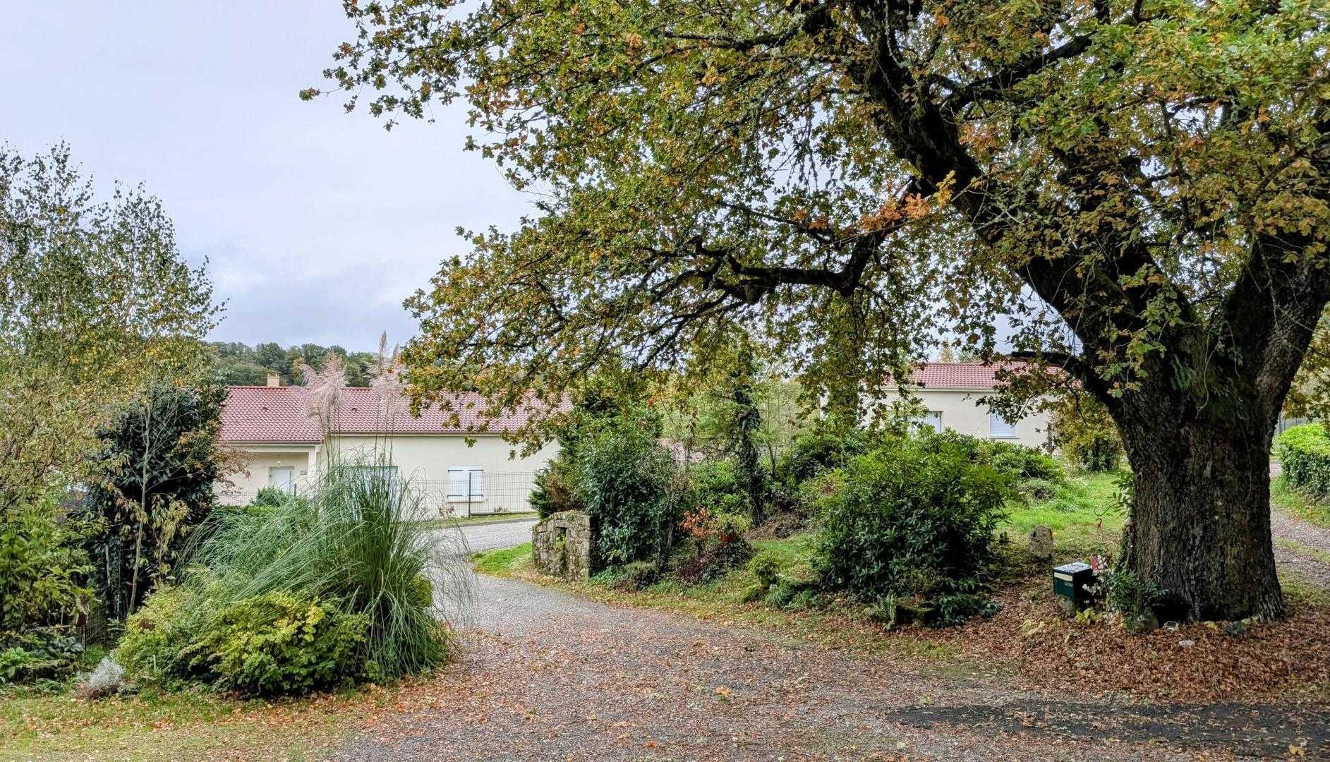 La Condamine, Eymoutiers - photo 15