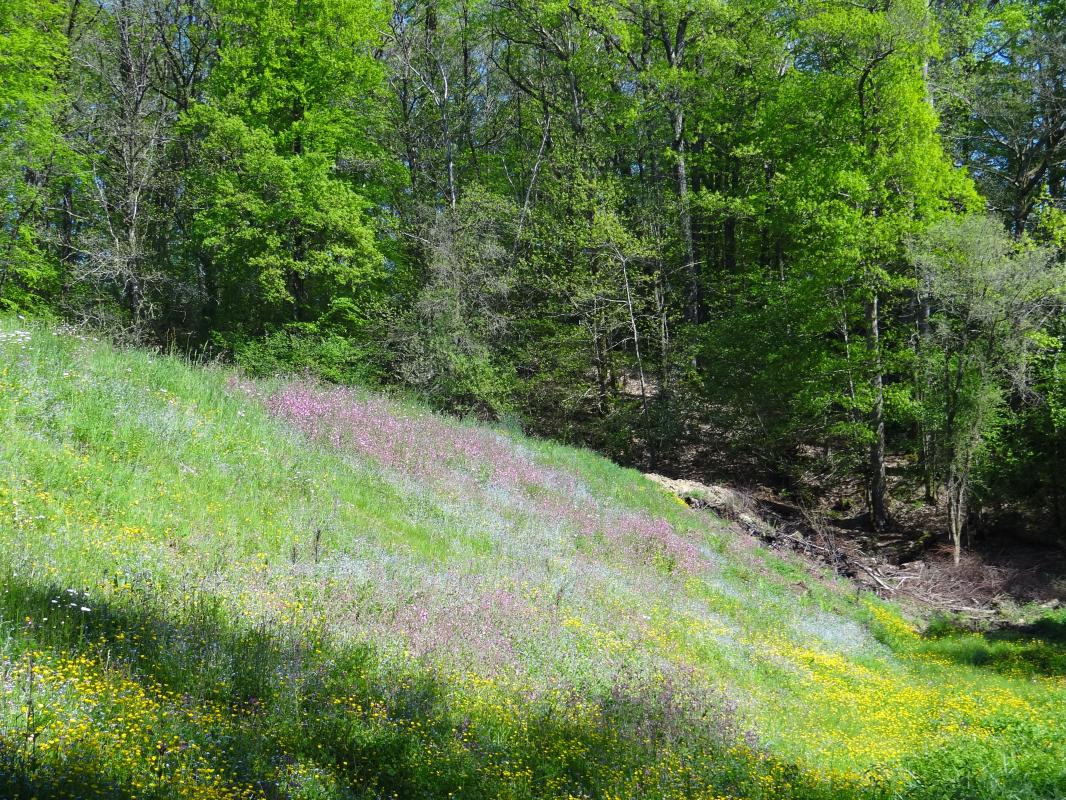 Puy Jobert, La Geneytouse - photo 48