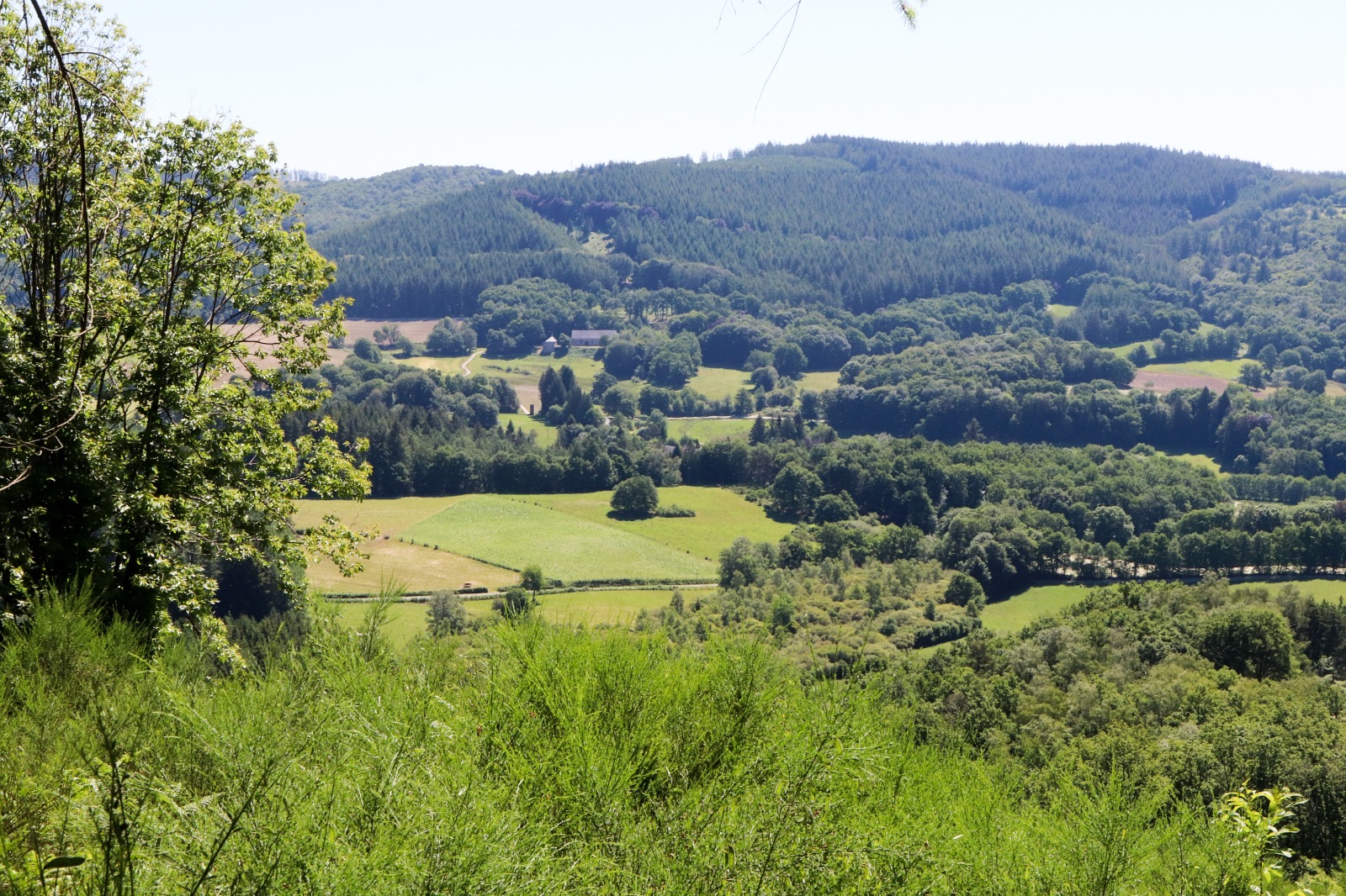 Mazeau Nicot, Nedde - photo 151