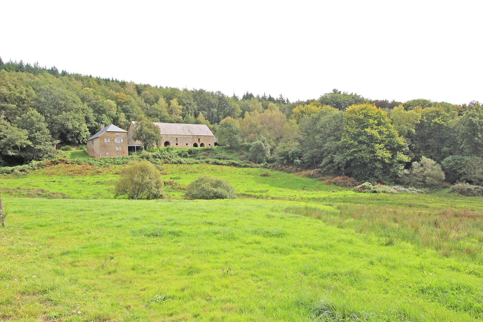 Mazeau Nicot, Nedde - photo 156
