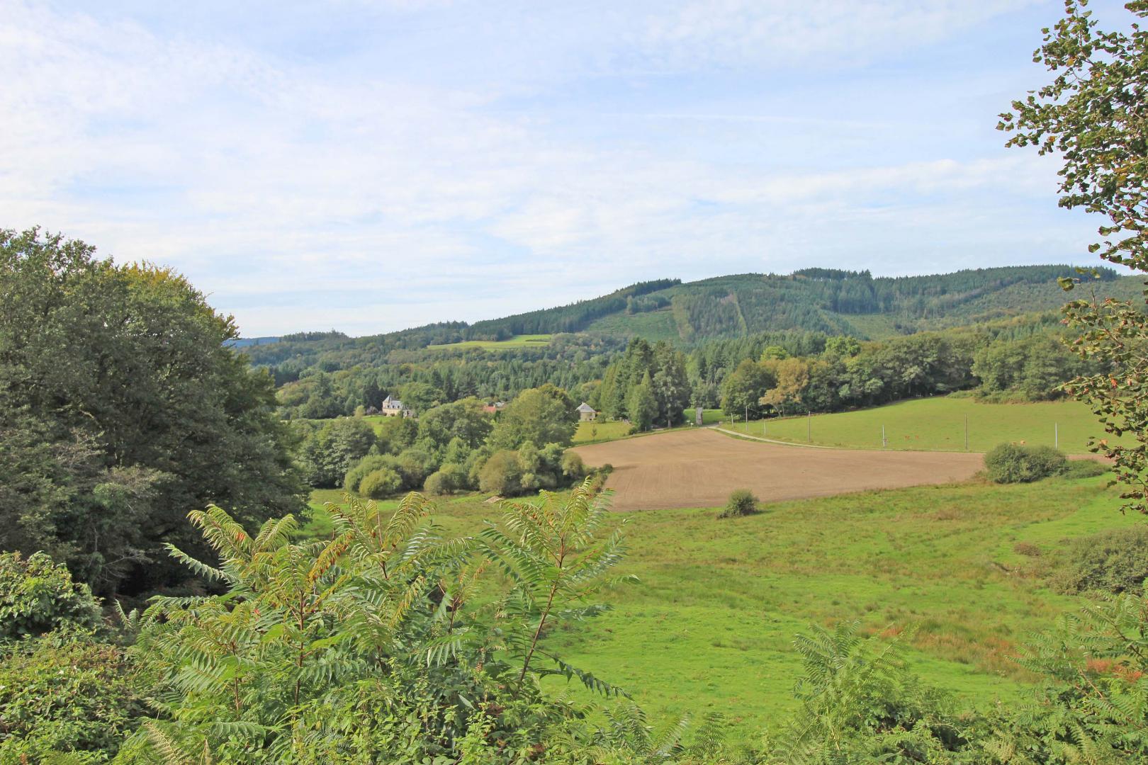 Mazeau Nicot, Nedde - photo 139