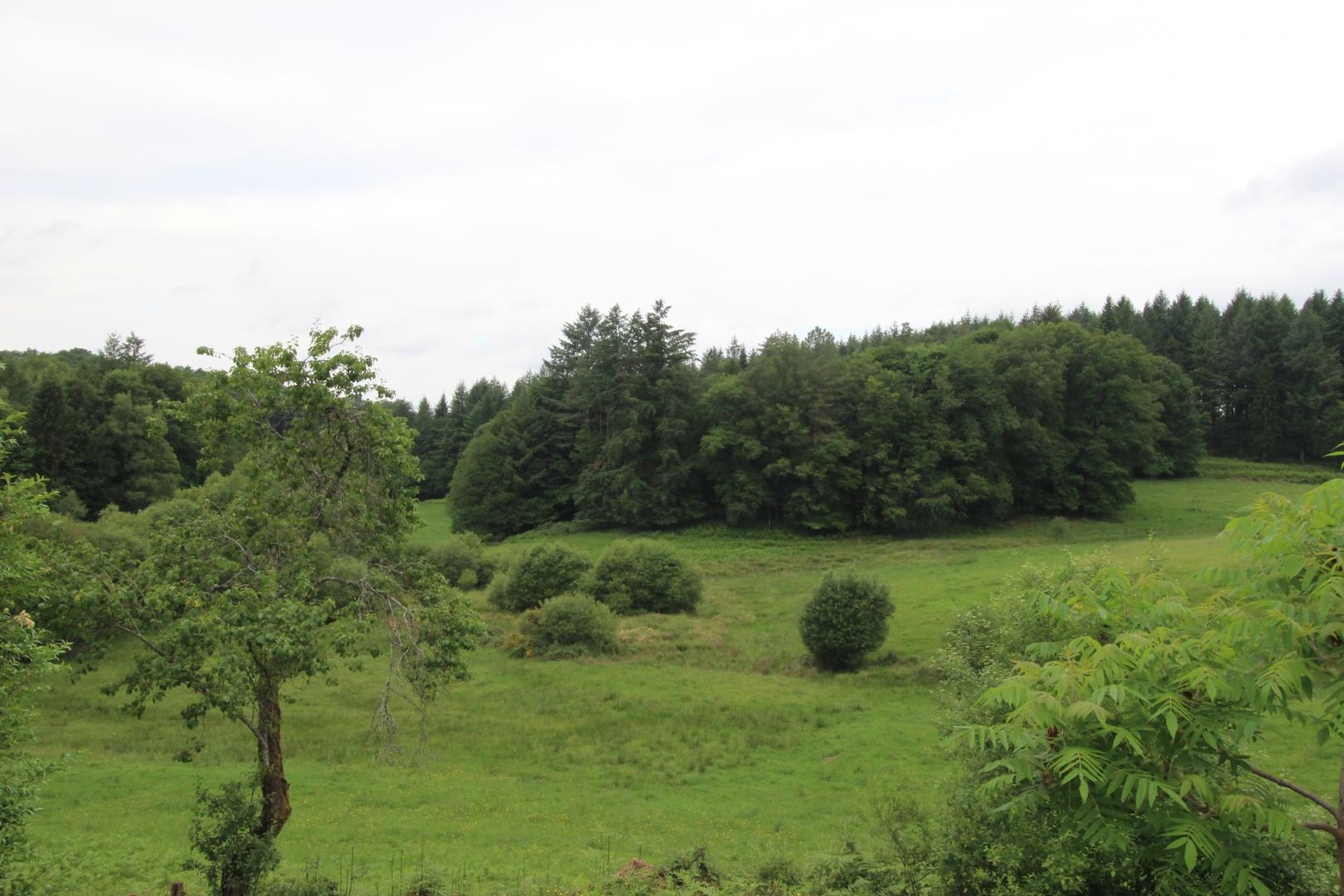 Chalendeix, Nedde - photo 63