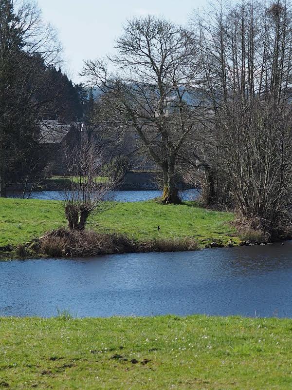 La Forge, Peyrat-le-Château - photo 35
