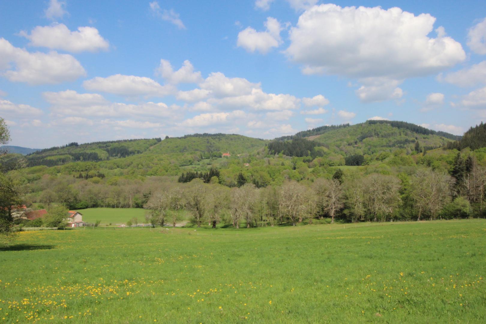 Le Chalet de Lintignat, Peyrat-le-Château - photo 37