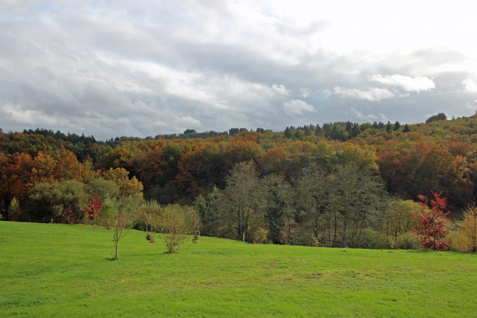 Bosrigaud, Peyrat-le-Château - photo 25