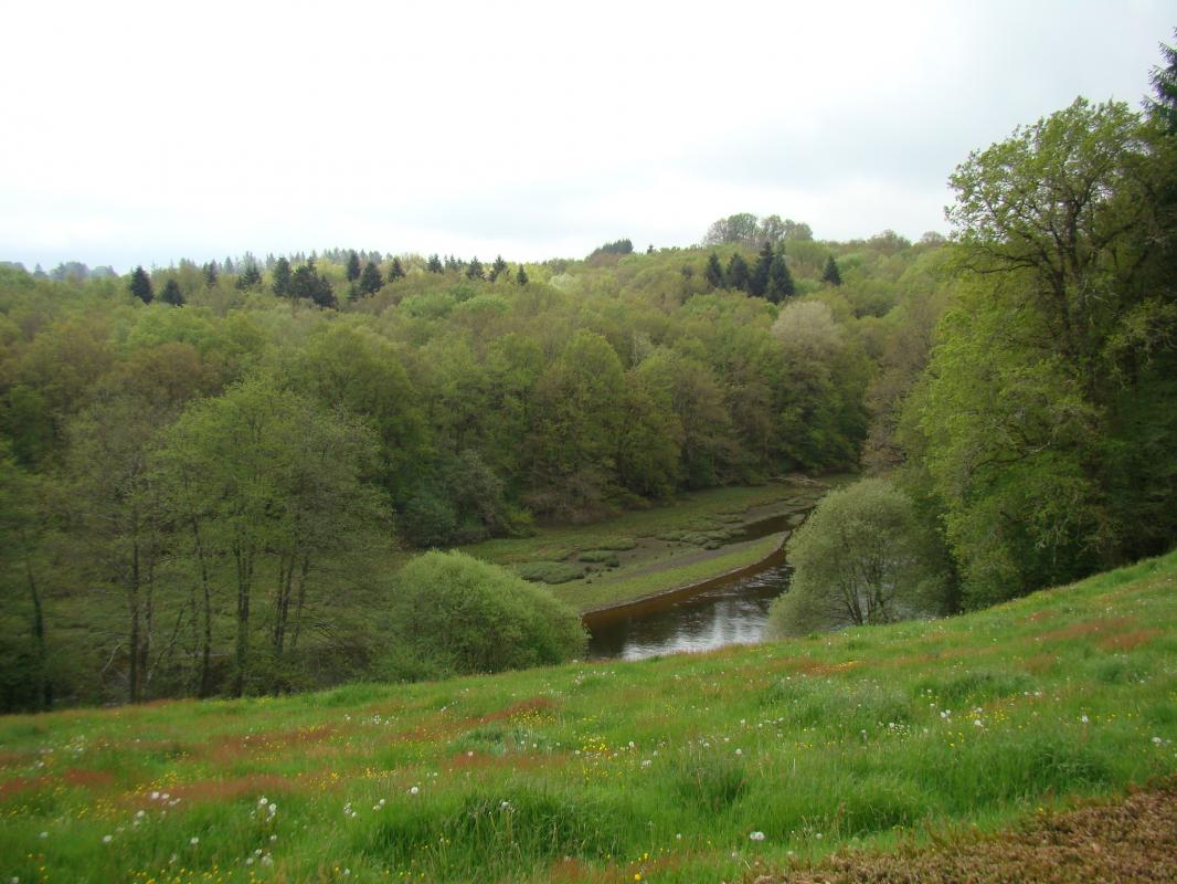 Bosrigaud, Peyrat-le-Château - photo 26