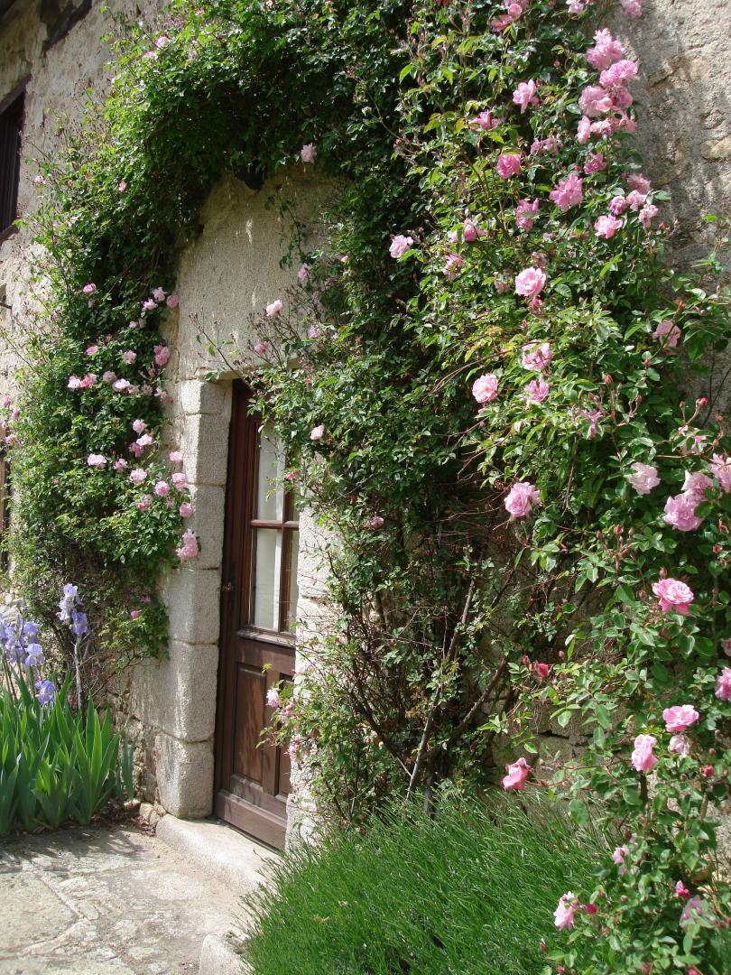 Le Masbareau, Gîte le Vieux Domaine, Royères - photo 84