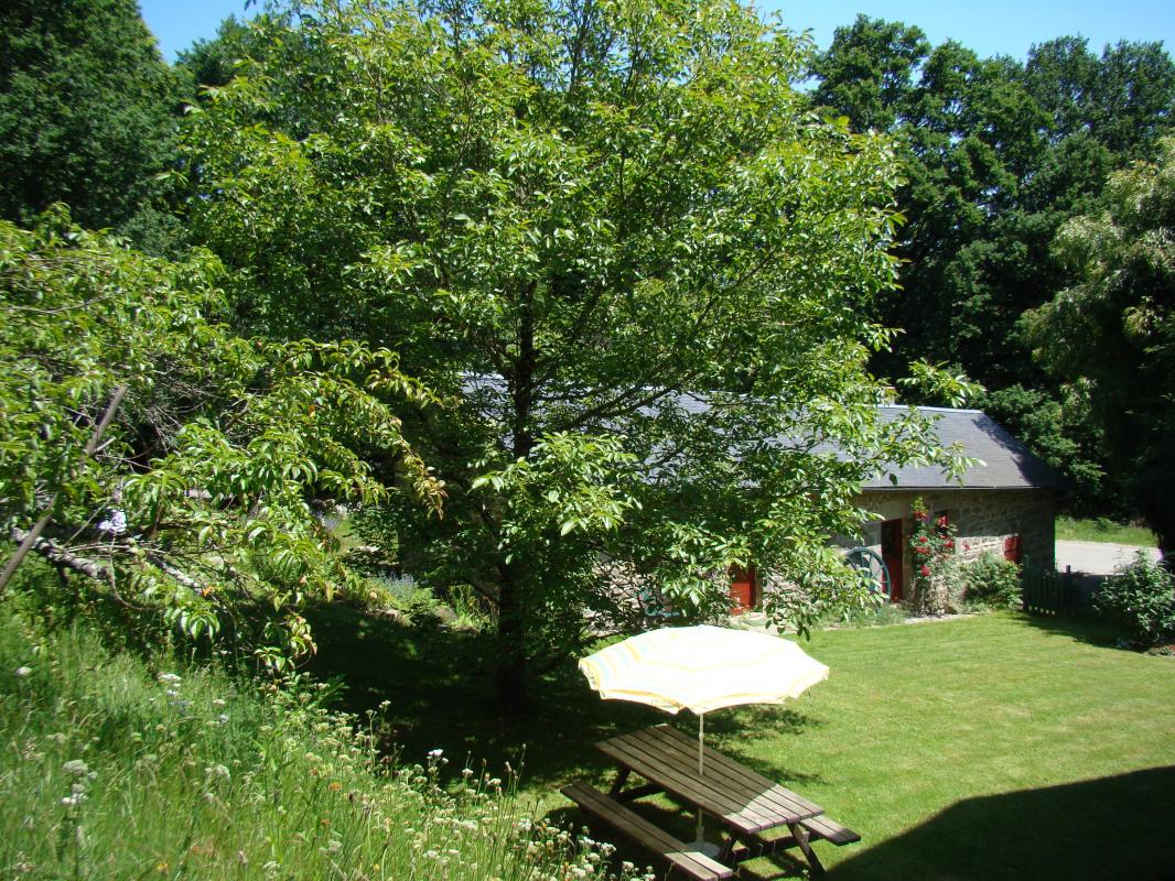 Les Hiboux - photo 5