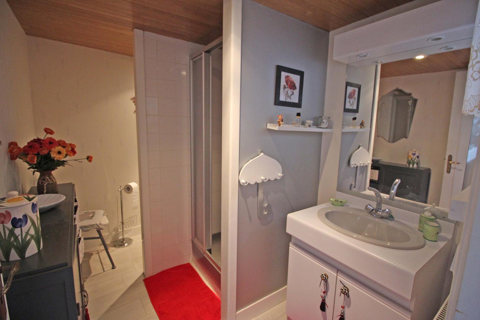 Samis Sud 26, Saint-Julien-le-Petit - photo 180