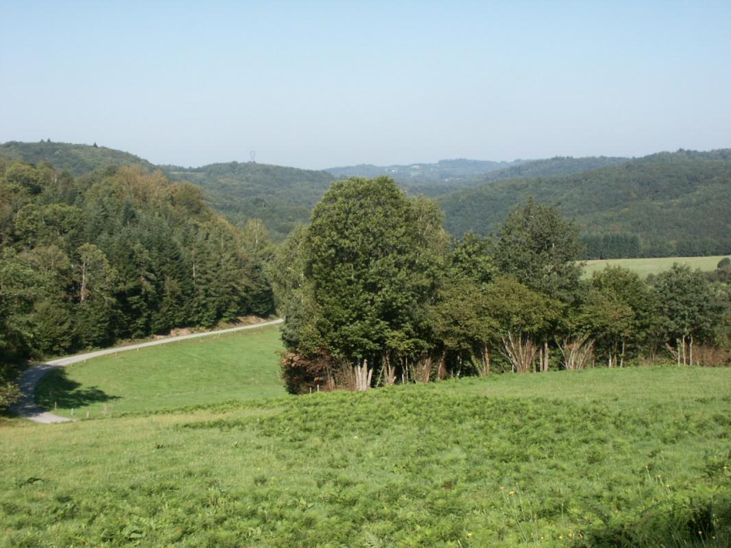 Samis, Saint-Julien-le-Petit - photo 113