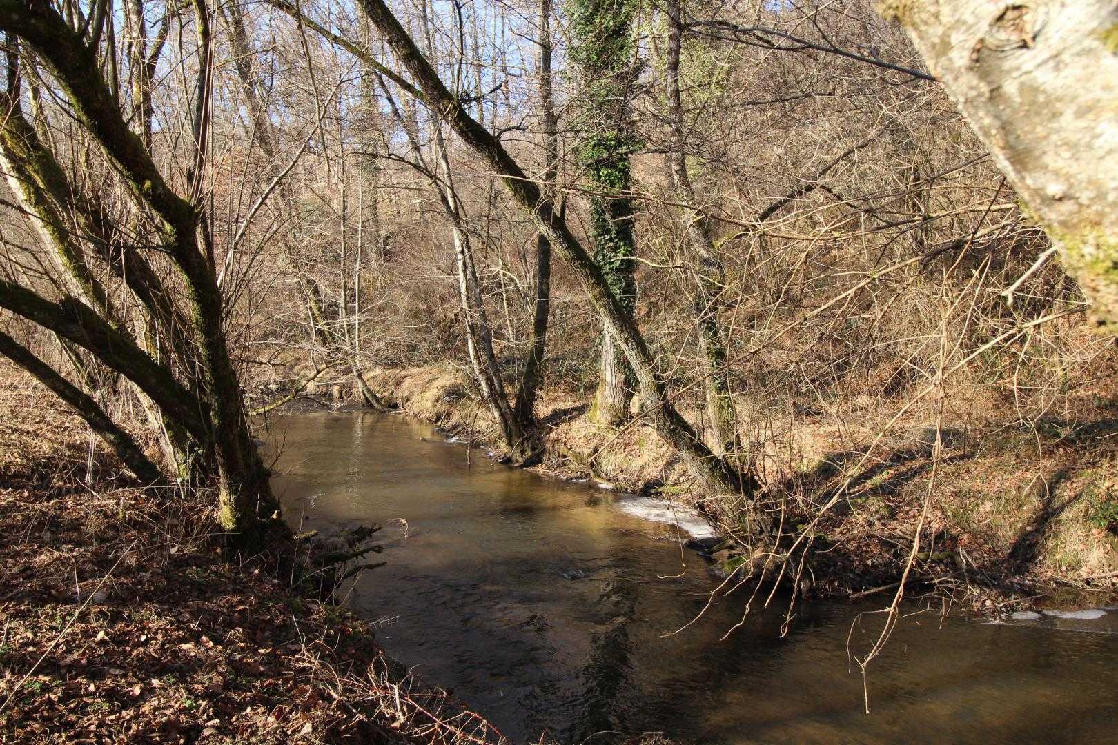 La rapiette, Saint-Léonard-de-Noblat - photo 146