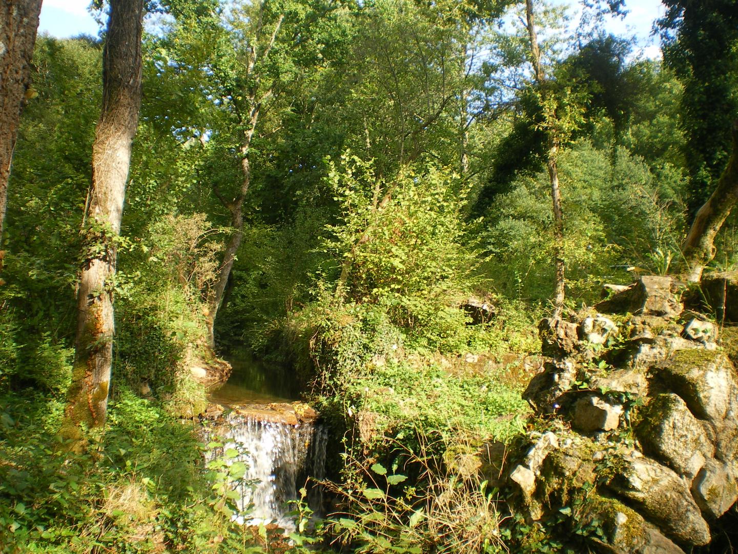 La rapiette, Saint-Léonard-de-Noblat - photo 149
