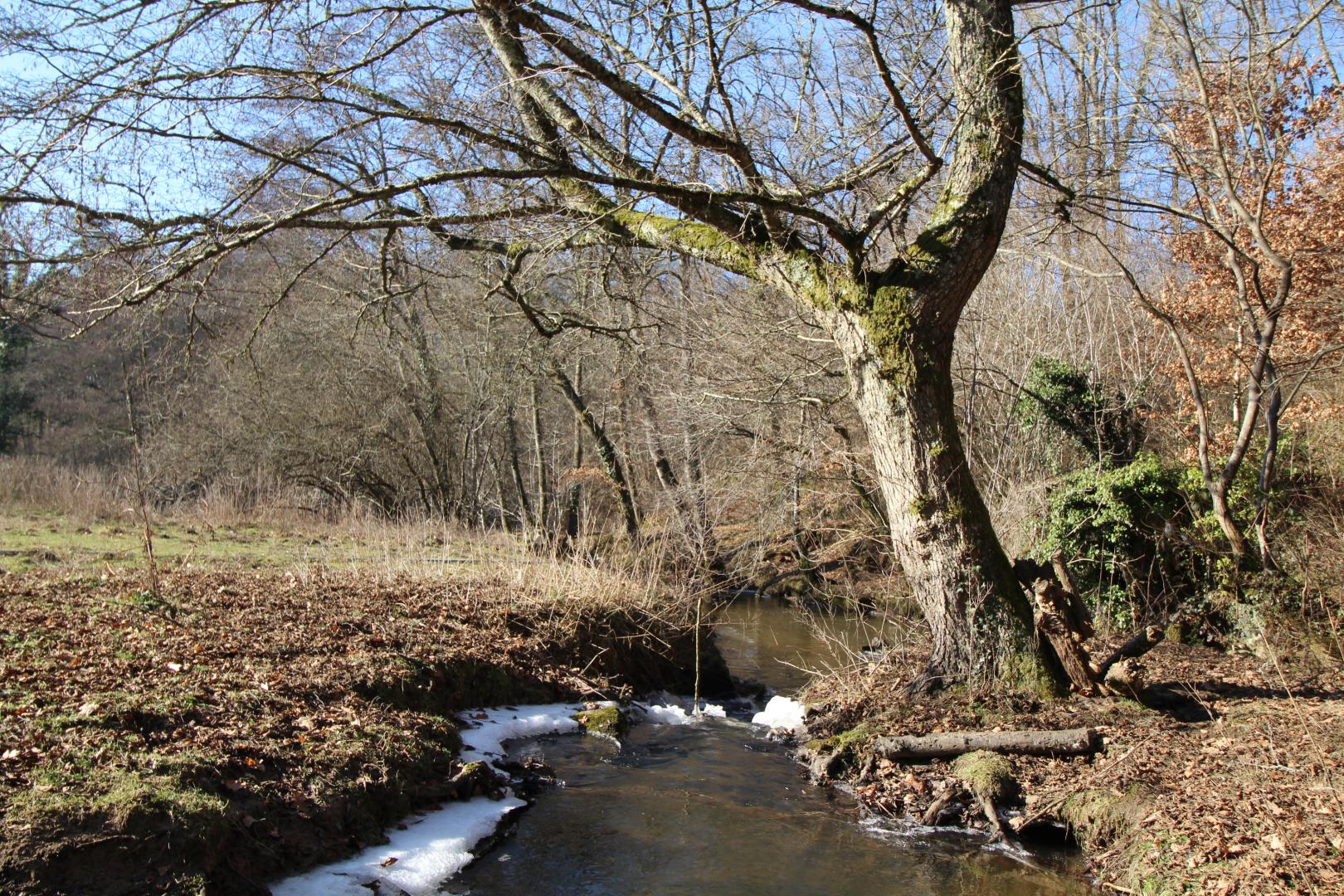 La rapiette, Saint-Léonard-de-Noblat - photo 143