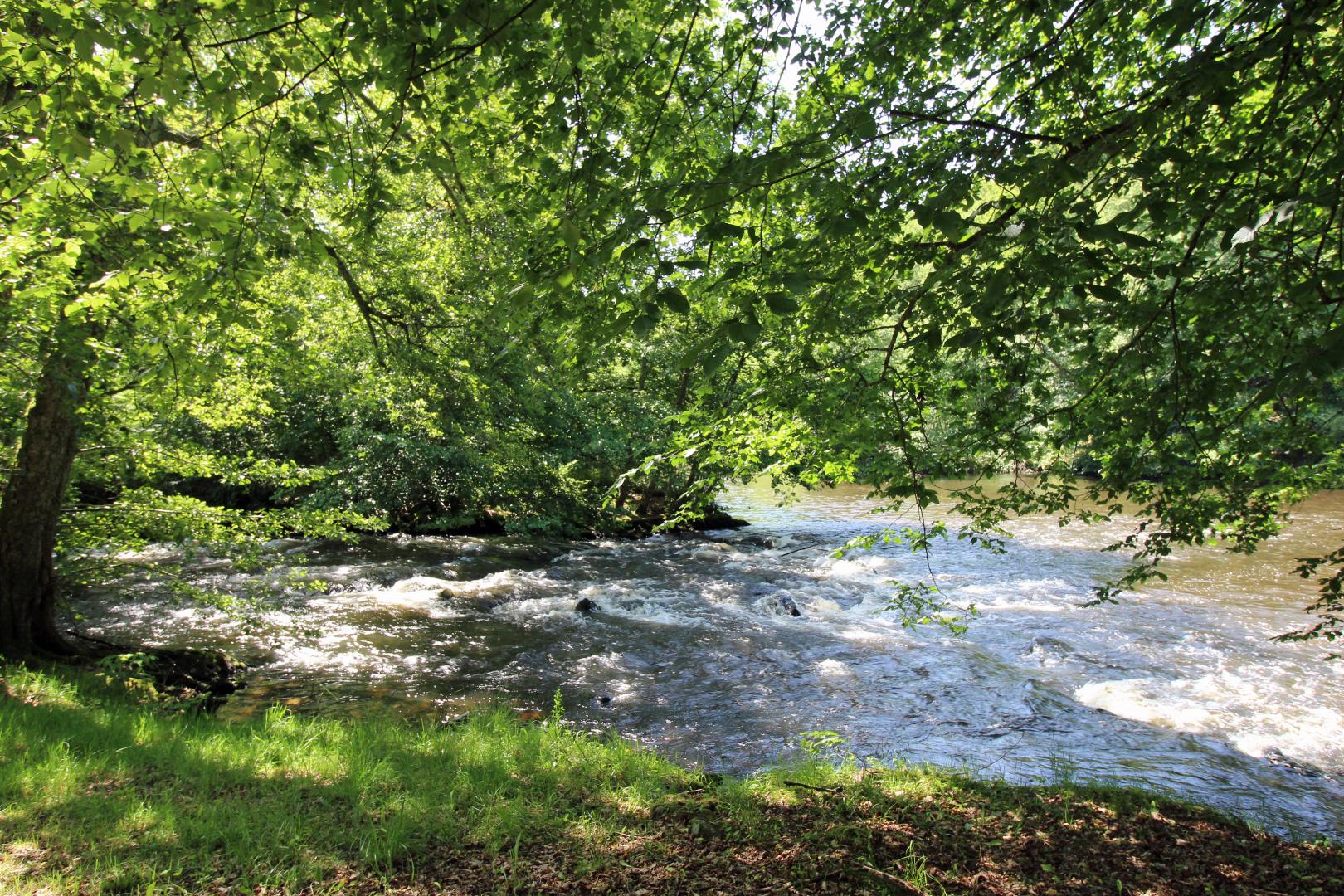 Chez Maître Jacques, Saint-Léonard-de-Noblat - photo 96