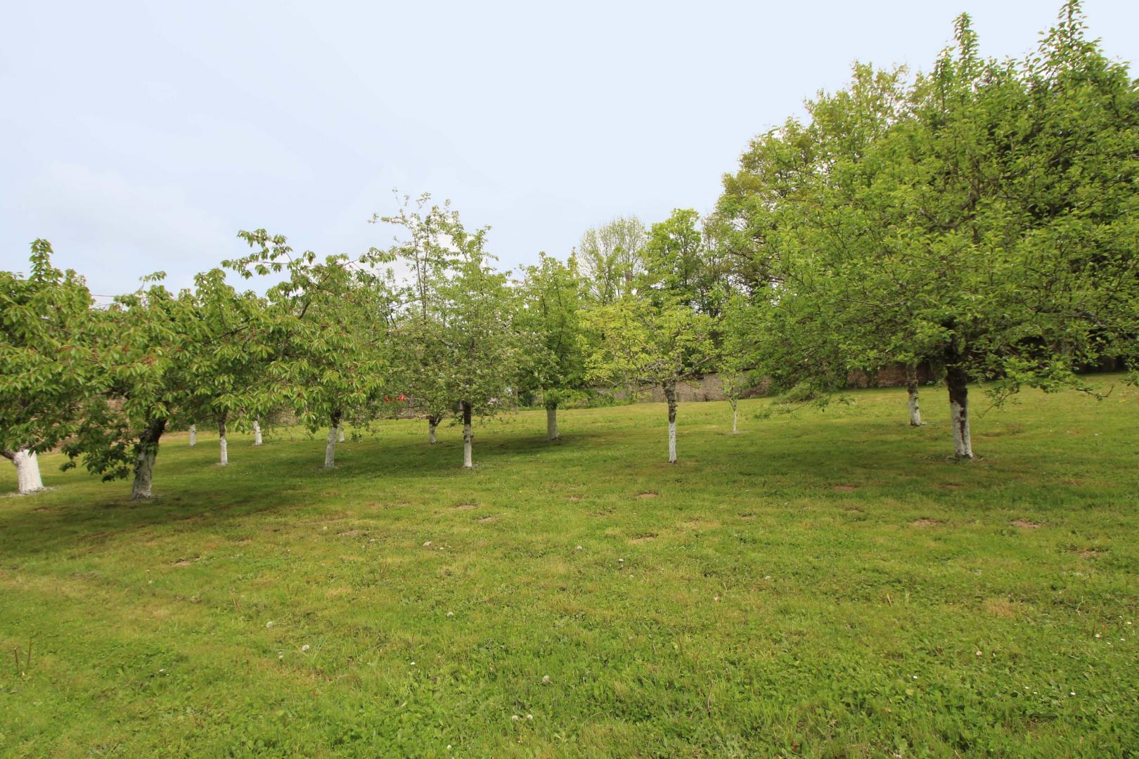 La Maison du Potager, Château-Chervix - photo 176