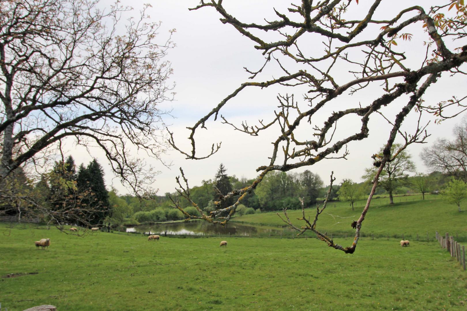 L' Ecurbie - photo 2