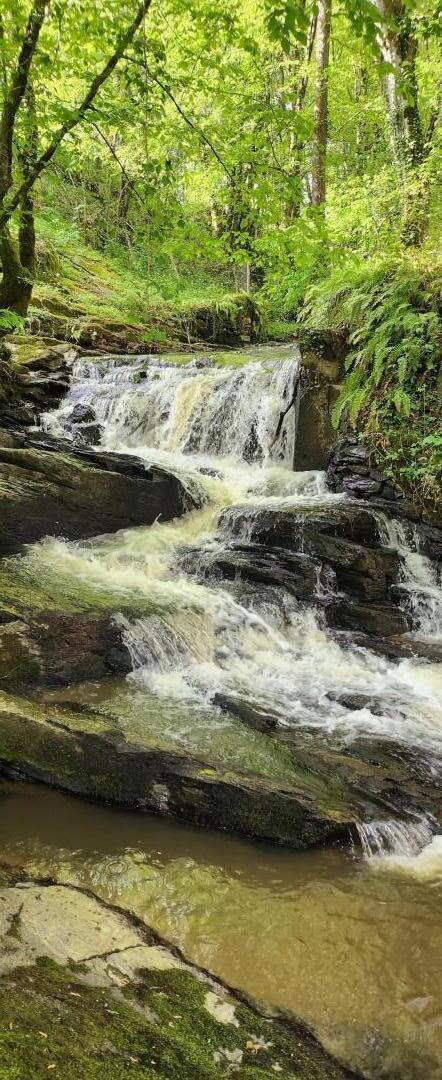 La Petite Cascade, La Meyze - photo 85