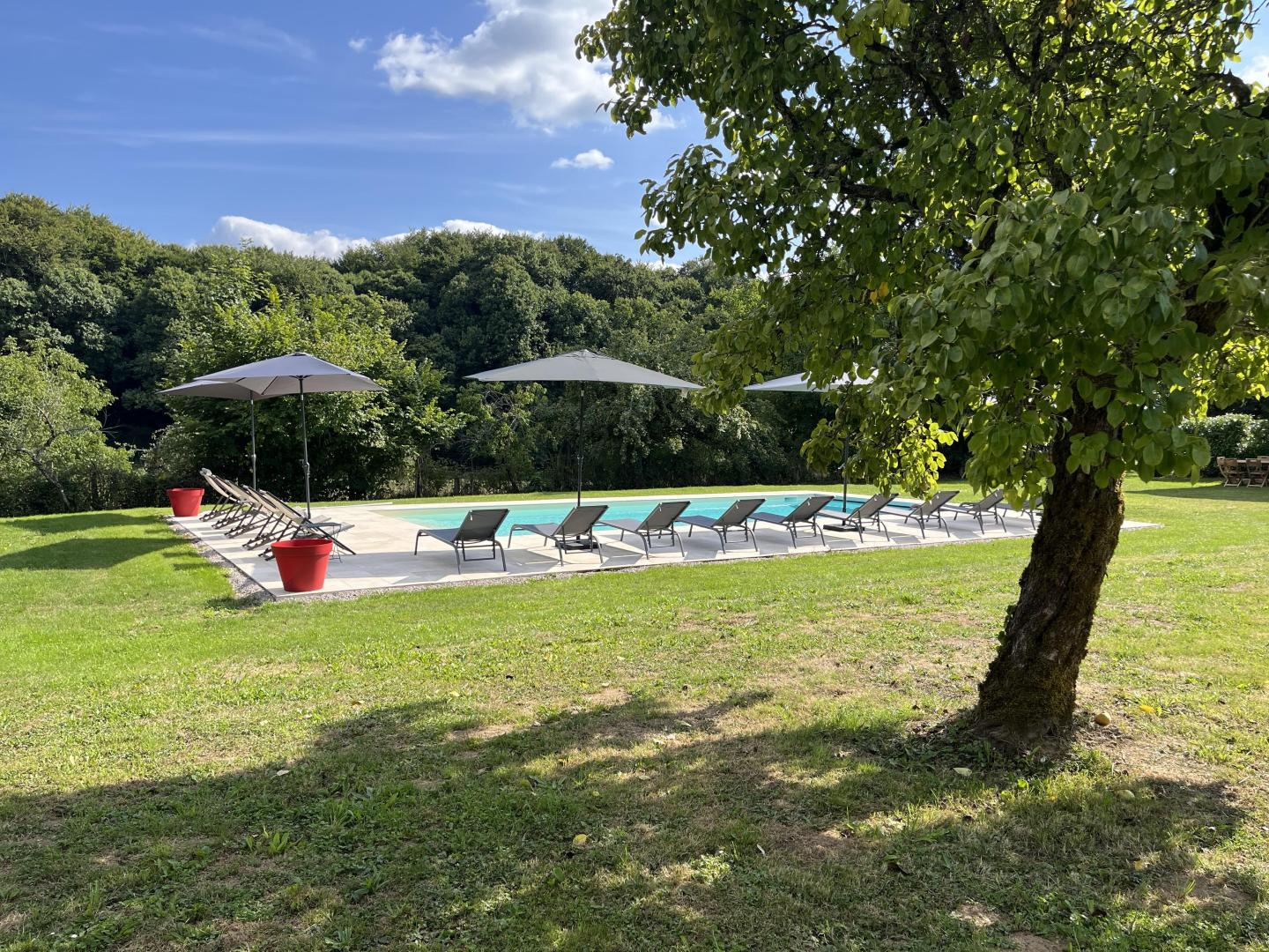 Le Manoir de la Borie, La Porcherie - photo 66