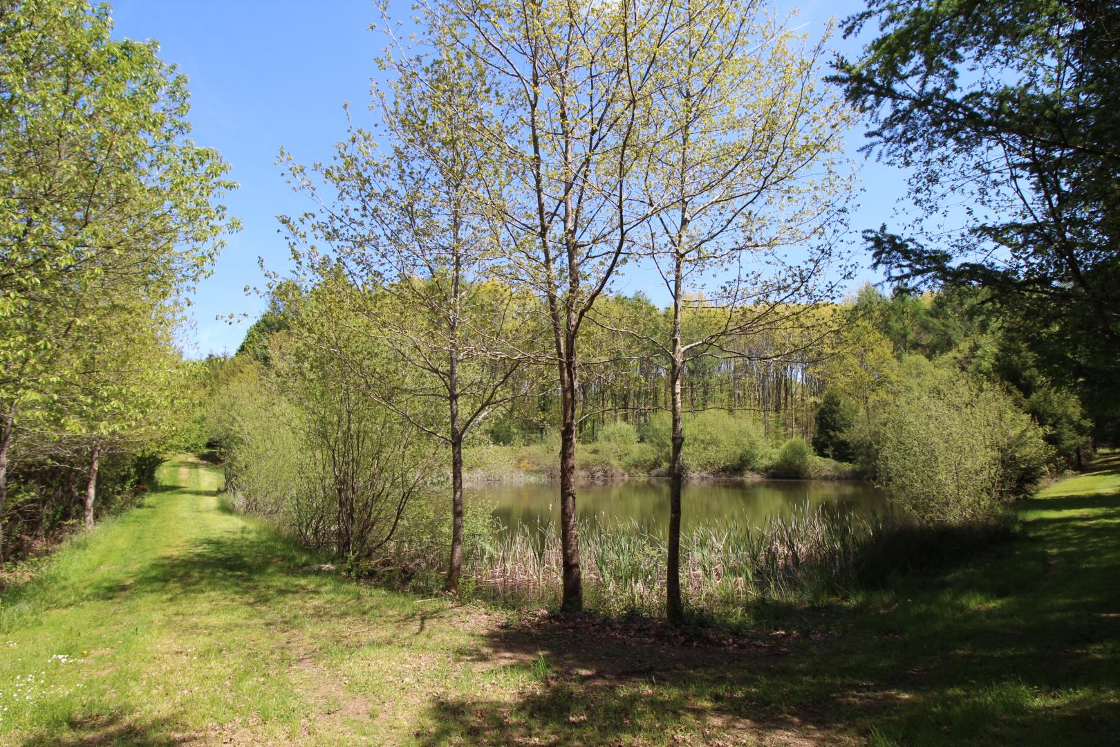 Cirèges, Le Chalard - photo 122
