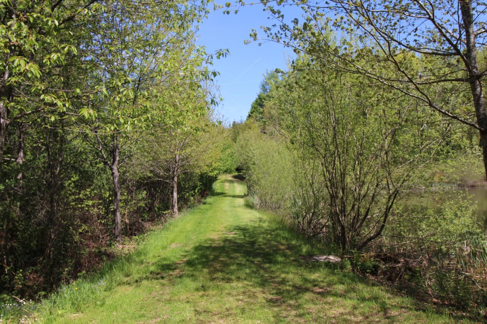 Cirèges, Le Chalard - photo 110