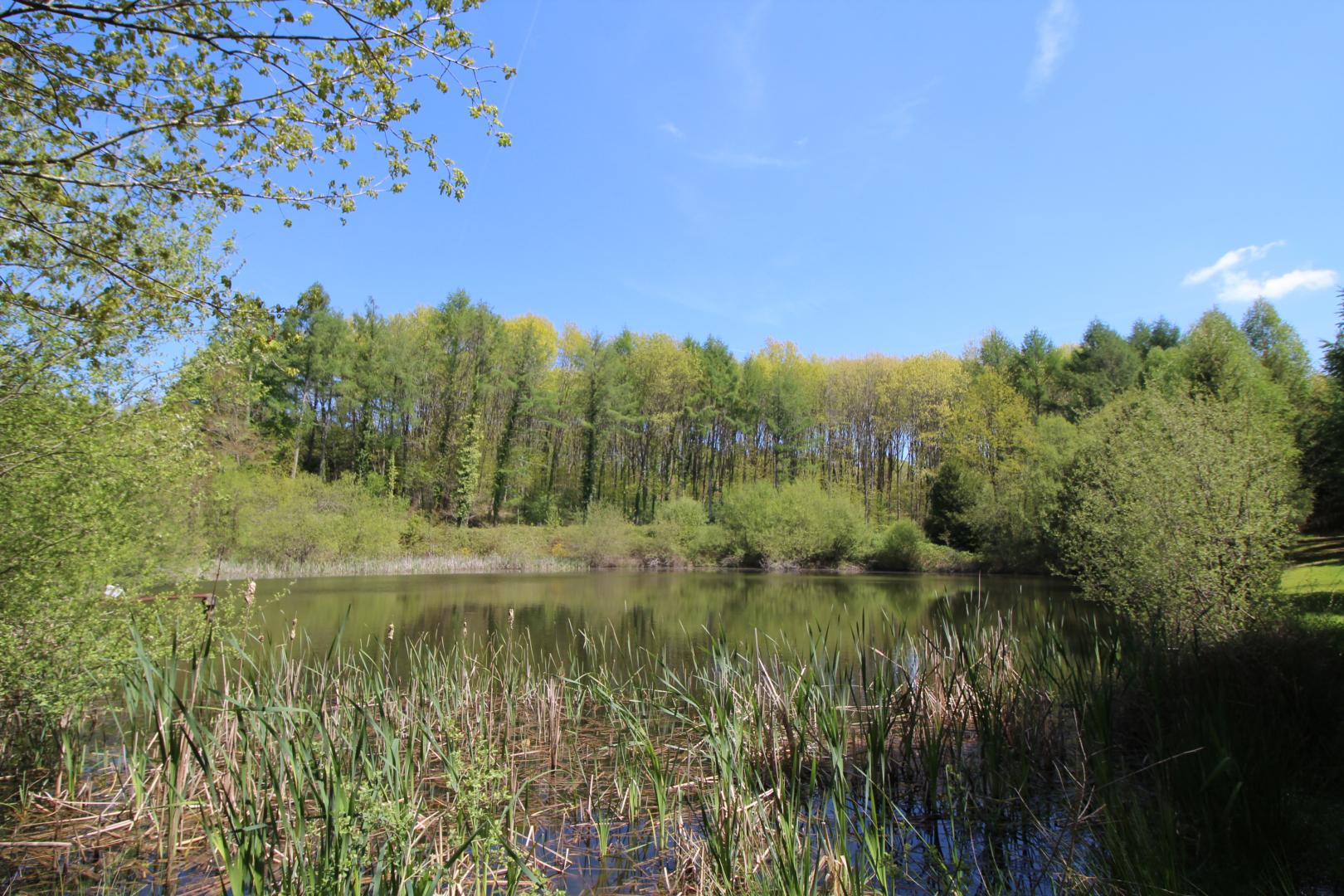 Cirèges, Le Chalard - photo 111