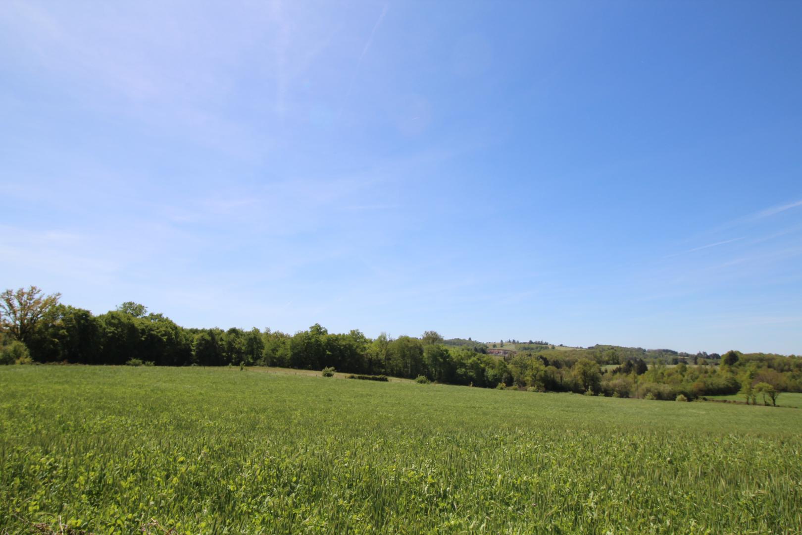 La Roche, Meuzac - photo 22