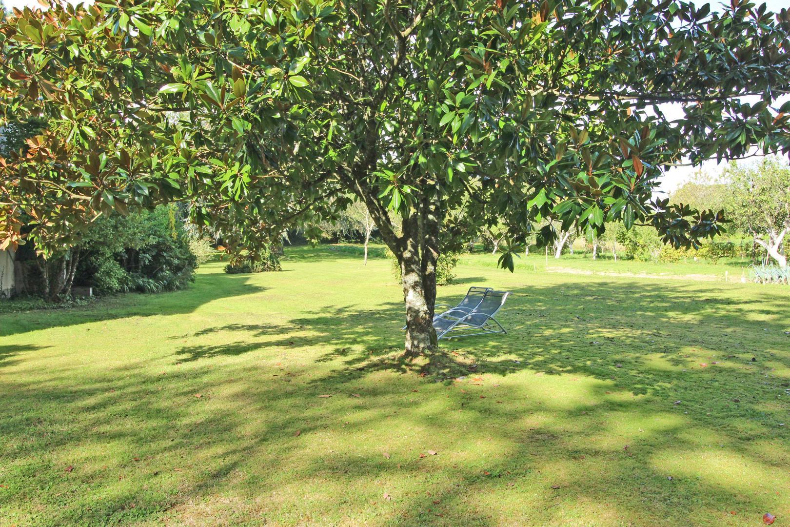 Bel Air, Nexon - photo 22