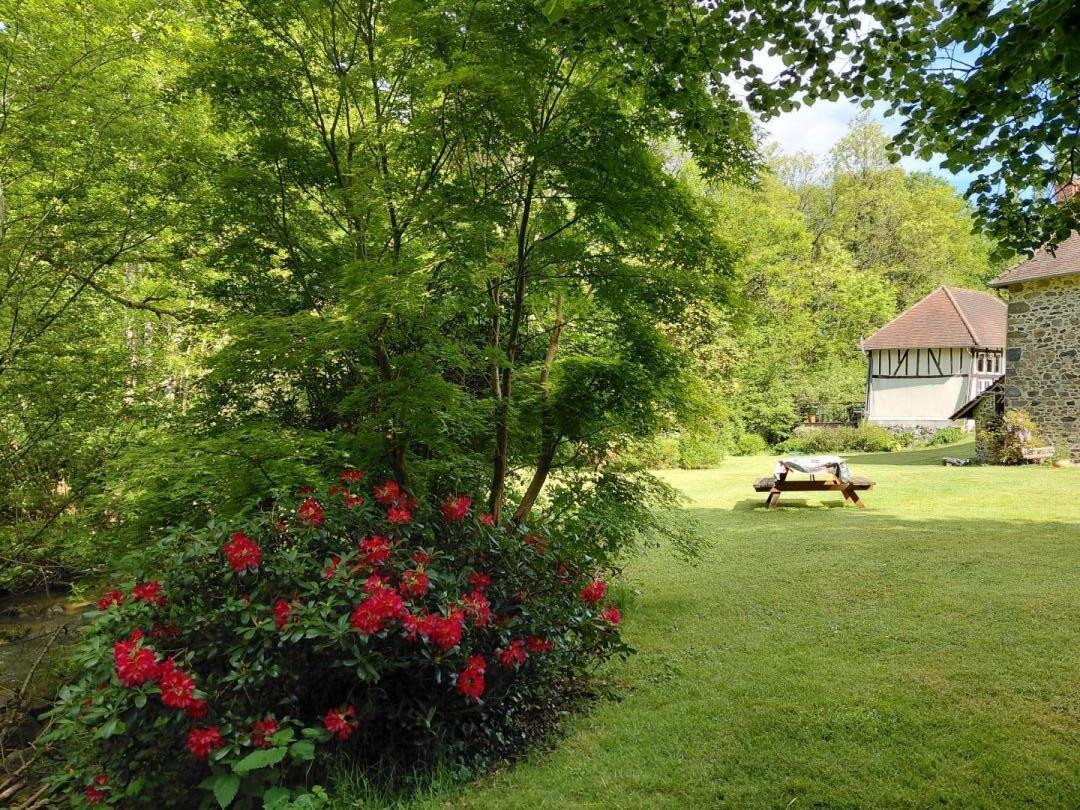 Le Moulin, Nexon - photo 276