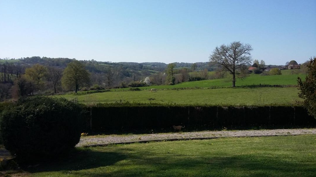 Les Petites Rivailles, Saint-Genest-sur-Roselle - photo 92