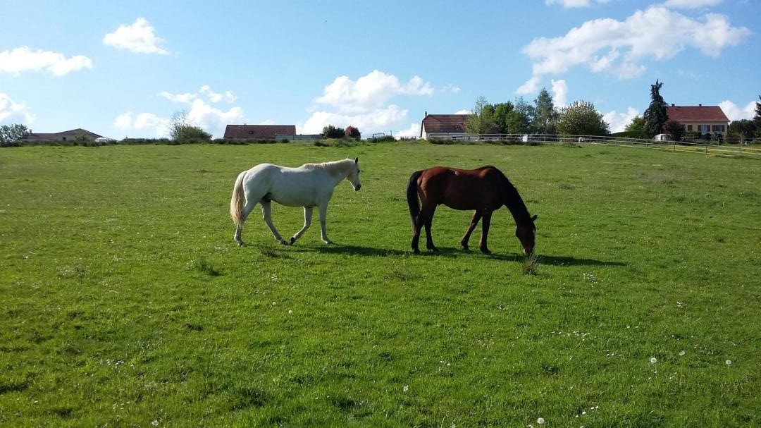 Les Petites Rivailles, Saint-Genest-sur-Roselle - photo 81
